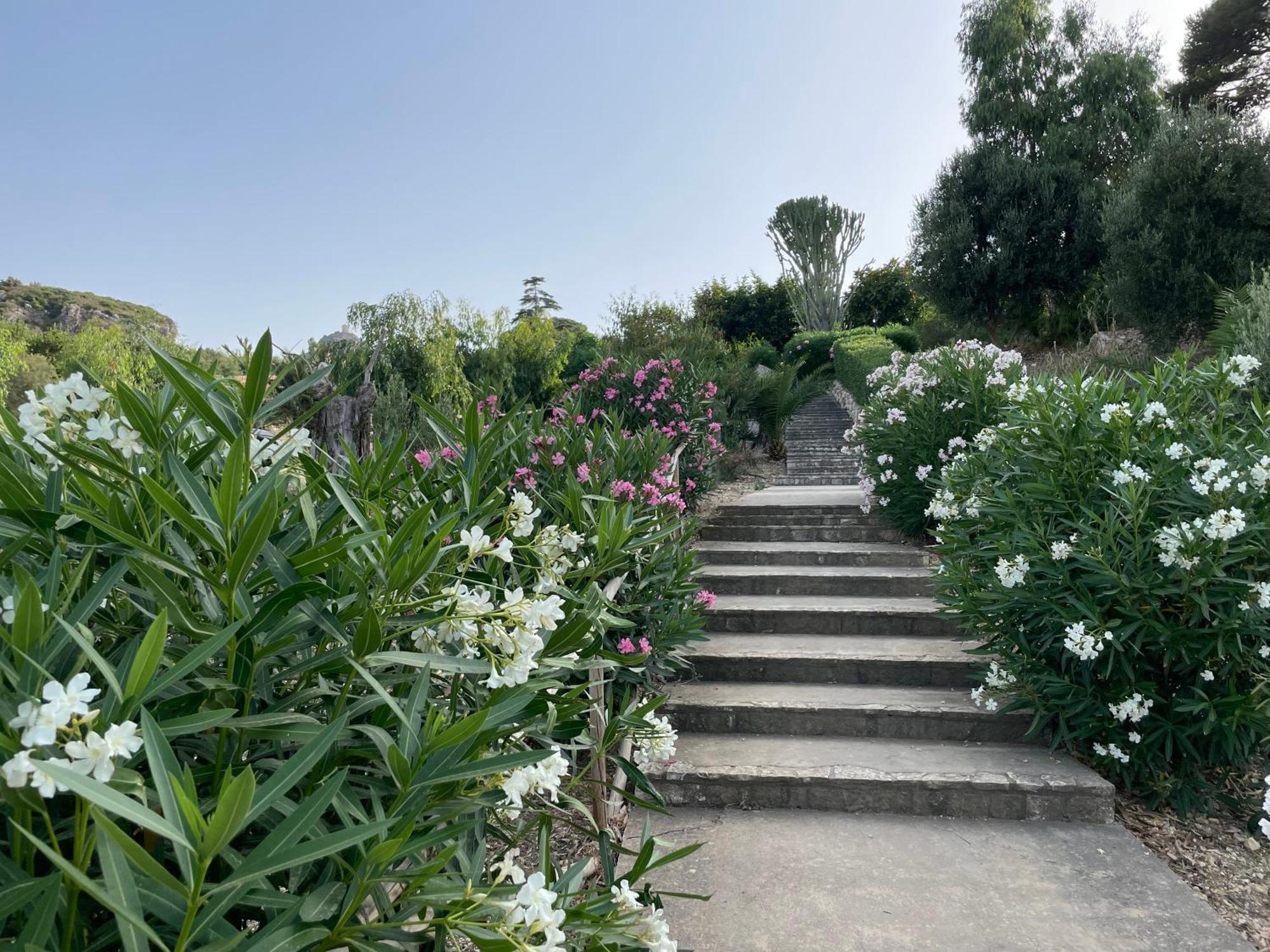 Villa Hibiscus Scopello Scopello  Eksteriør bilde