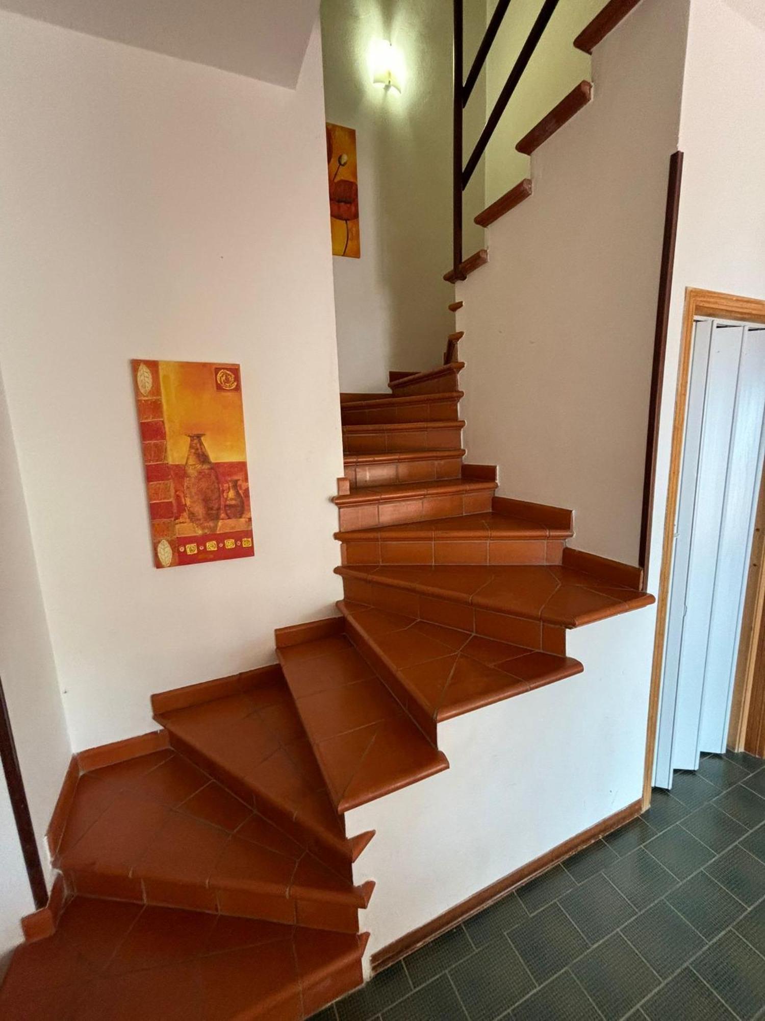 Villa Hibiscus Scopello Scopello  Eksteriør bilde