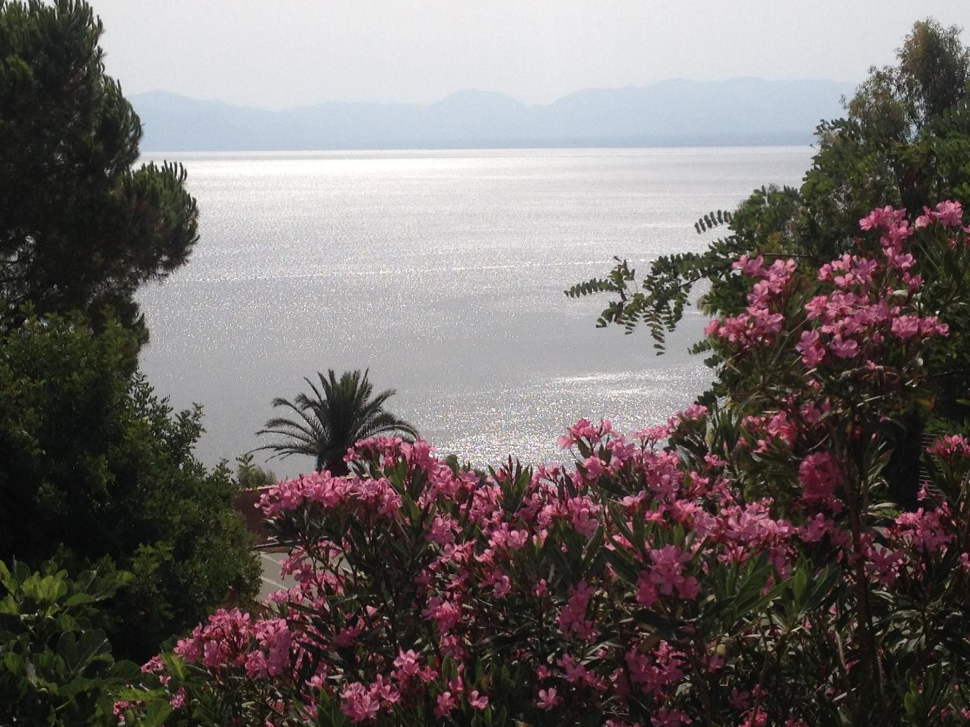 Villa Hibiscus Scopello Scopello  Eksteriør bilde